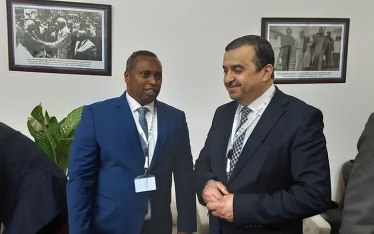 Mohamed Arkab réaffirme l&rsquo;engagement de l&rsquo;Algérie pour l&rsquo;intégration énergétique africaine et internationale lors du Sommet de Dar es Salaam