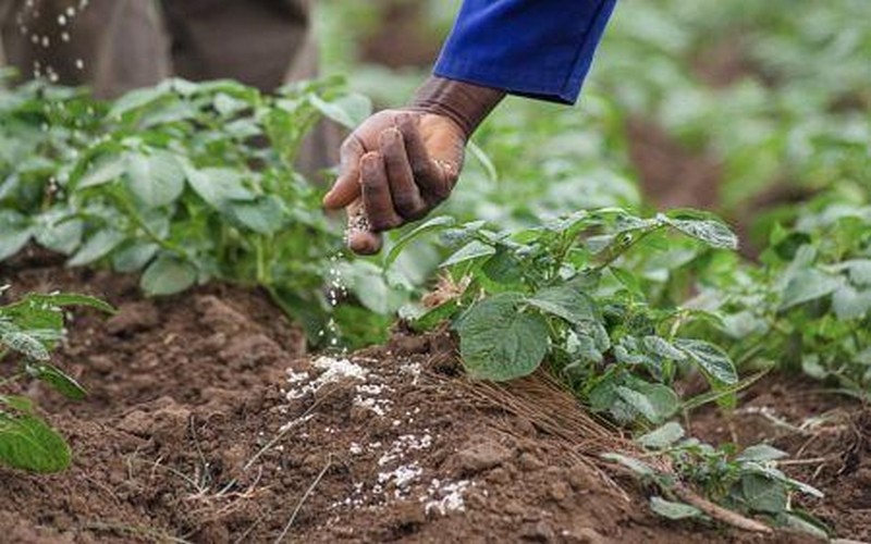 Nigeria : Augmentation de 30 % du budget du Fonds national de développement agricole pour 2025, un soutien renforcé à l’agriculture locale