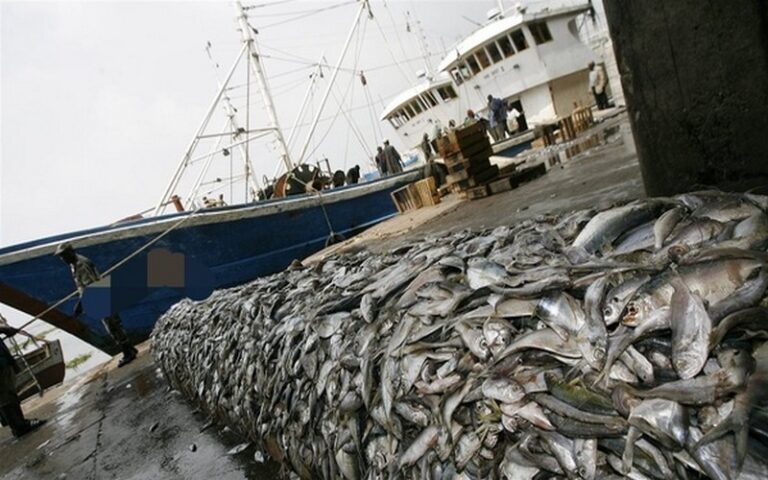 Non-renouvellement des accords de pêche avec l’UE : Une solution pour la cherté des produits halieutiques au Sénégal