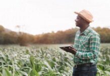 ODD en Afrique : Potentiel, défis et la nécessité d’une nouvelle approche stratégique