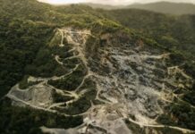 Quel est l’impact de notre alimentation sur la déforestation mondiale ? Comprendre le lien entre agriculture, consommation et perte des forêts