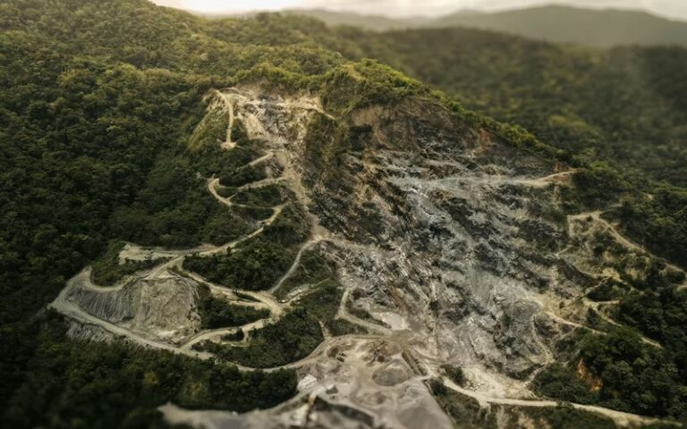 Quel est l&rsquo;impact de notre alimentation sur la déforestation mondiale ? Comprendre le lien entre agriculture, consommation et perte des forêts