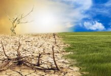 Réchauffement climatique : Le dépassement du seuil de 1,5°C en 2024, un tournant irréversible pour la planète ?