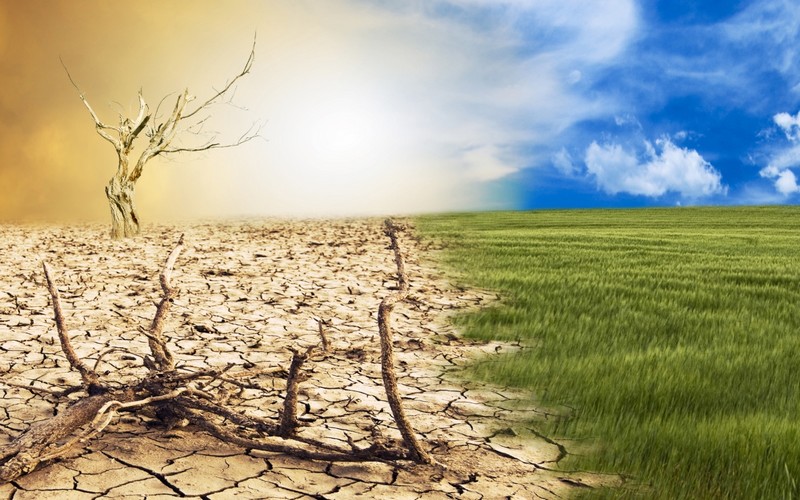 Réchauffement climatique : Le dépassement du seuil de 1,5°C en 2024, un tournant irréversible pour la planète ?