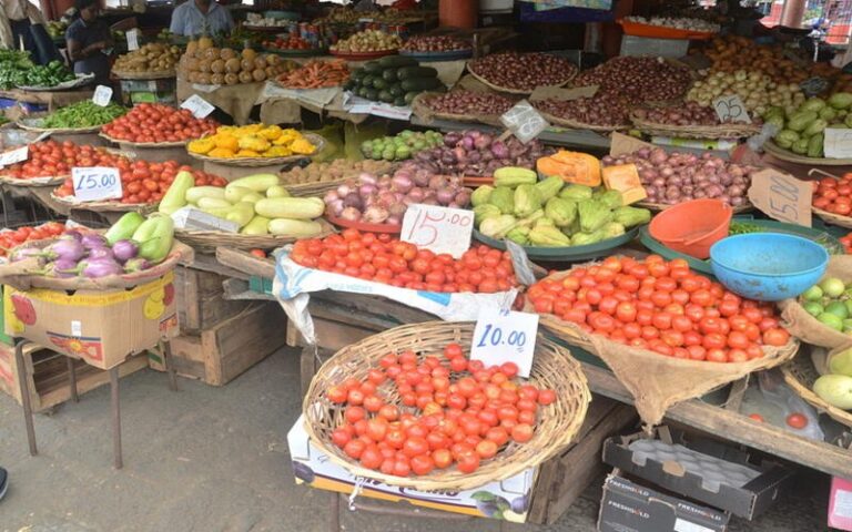 Sécheresse à Île Maurice : Impact sur les prix des fruits et légumes et les défis pour les agriculteurs