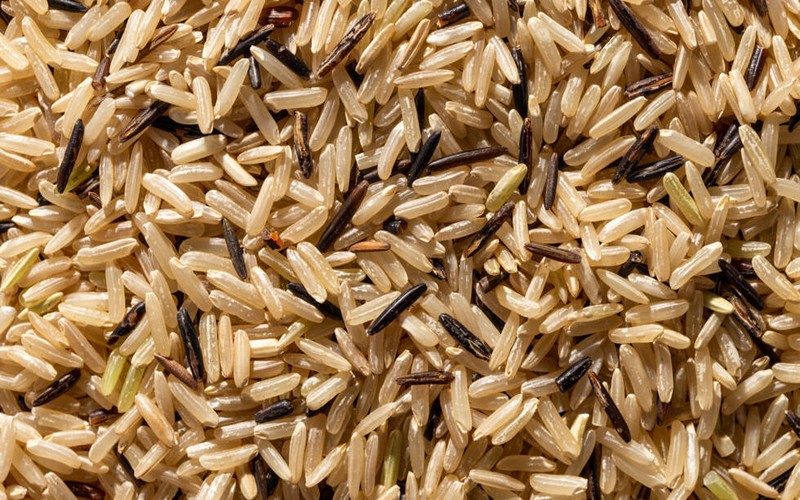 Sénégal : Le riz local enrichi en micronutriments pour combattre la faim cachée et les carences nutritionnelles