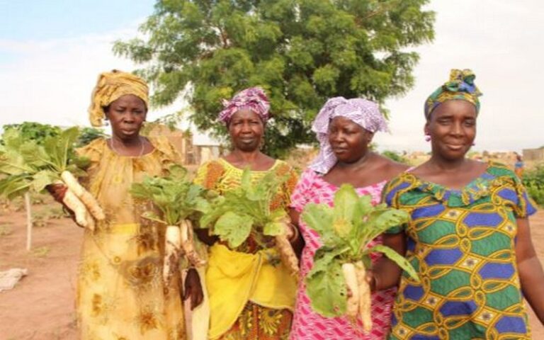 Sénégal : Les femmes de Kayar révolutionnent l’agriculture biologique
