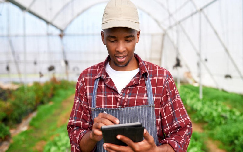 Sommet de Kampala 2024 : L’Afrique trace sa nouvelle feuille de route pour la sécurité alimentaire et l’agriculture durable