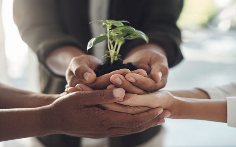 Accélérer la transition agroécologique : Laboratoires vivants et innovations en nanotechnologie                                       