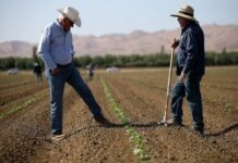 Afrique du Sud : Donald Trump relance la controverse sur la réforme foncière et menace de suspendre l’aide américaine