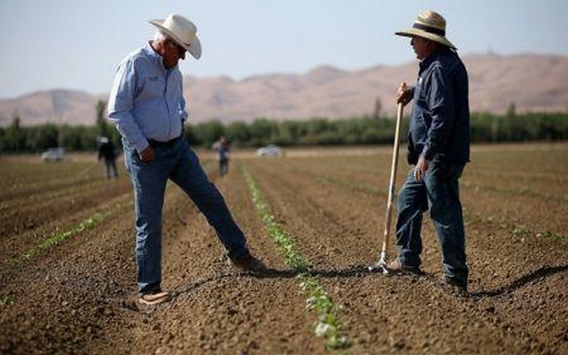 Afrique du Sud : Donald Trump relance la controverse sur la réforme foncière et menace de suspendre l’aide américaine   