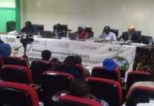 Atelier de lancement du projet GALILEO au Sénégal : Une nouvelle ère pour l’agroforesterie en Afrique subsaharienne