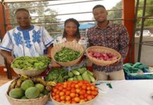 Au Togo, l’agroécologie face aux défis climatiques et alimentaires : L’exemple inspirant de Mamilani Gnakou