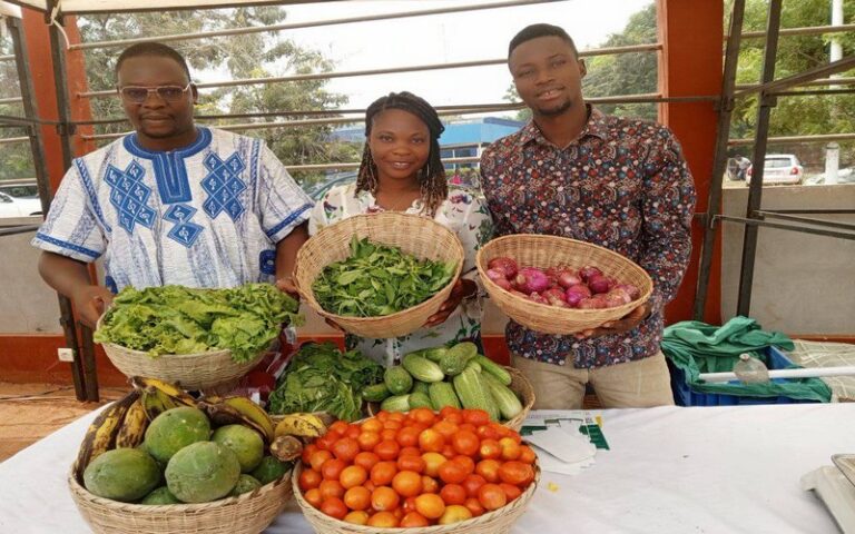Au Togo, l’agroécologie face aux défis climatiques et alimentaires : L’exemple inspirant de Mamilani Gnakou