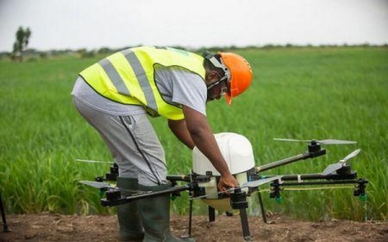 Bénin : Le numérique pourrait générer 309 millions $ pour l’agriculture d’ici à 2028, selon la GSMA