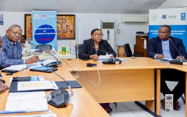 Des progrès notables en 2024 pour le programme énergie en RDC : Réduction de la déforestation et adoption d&rsquo;énergies propres                             