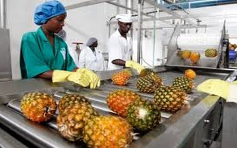 Deuxième phase du projet de transformation agroalimentaire au Togo : Un pas décisif pour l’emploi et l’autonomie alimentaire