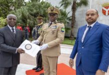 Gabon : Pourquoi l’État gabonais a repris le contrôle de la Société nationale des bois et son impact sur le secteur forestier