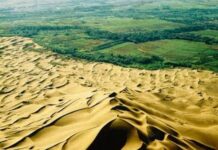 Grande Muraille Verte : Enjeux clés de l’audit institutionnel et stratégies pour un avenir durable