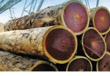 L’ATIBT et la COMIFAC organisent un atelier sur les Avis de commerce non préjudiciables pour la filière bois en Afrique centrale