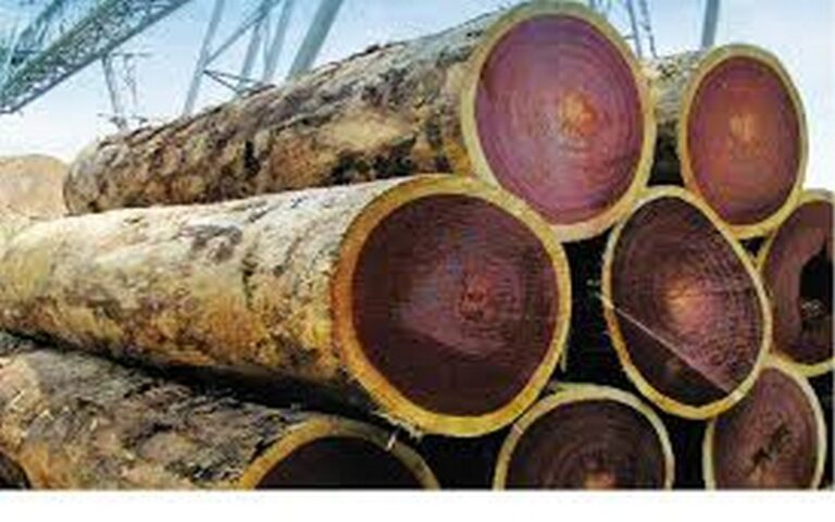 L’ATIBT et la COMIFAC organisent un atelier sur les Avis de commerce non préjudiciables pour la filière bois en Afrique centrale