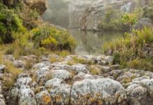 L’Afrique du Sud inscrit la Réserve naturelle de Mkambati sur la Liste Ramsar des zones humides d’importance internationale