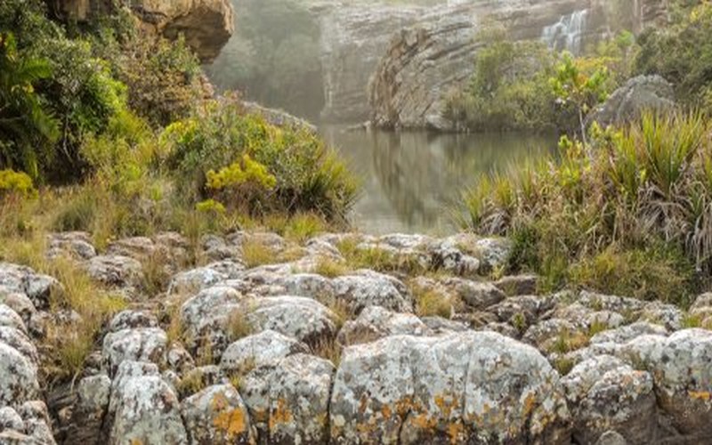 L’Afrique du Sud inscrit la Réserve naturelle de Mkambati sur la Liste Ramsar des zones humides d’importance internationale