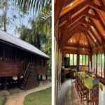 La Congolaise industrielle des bois obtient la première certification FSC d’un projet en Afrique avec un restaurant au parc de Nouabalé-Ndoki