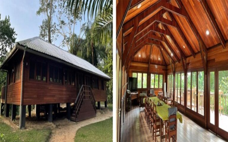 La Congolaise industrielle des bois obtient la première certification FSC d’un projet en Afrique avec un restaurant au parc de Nouabalé-Ndoki