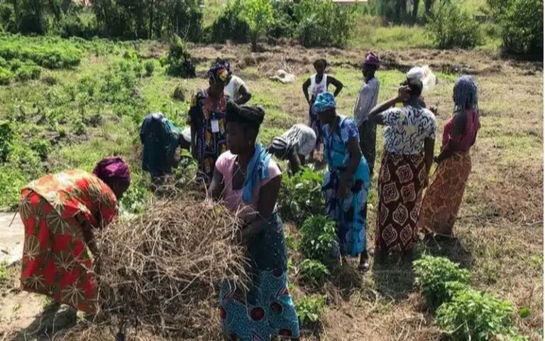 La ruée sur les terres agricoles en Afrique : un enjeu majeur pour l’avenir du continent