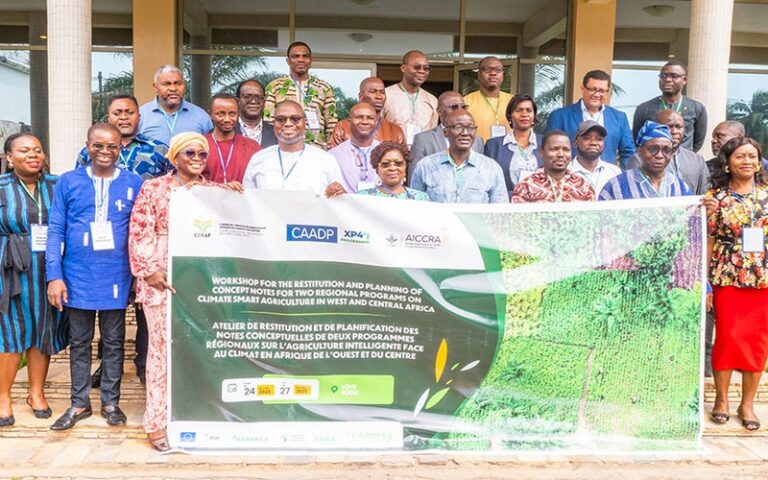 Le CORAF évalue deux programmes régionaux pour l’agriculture intelligente face au climat en Afrique de l’Ouest et Centrale