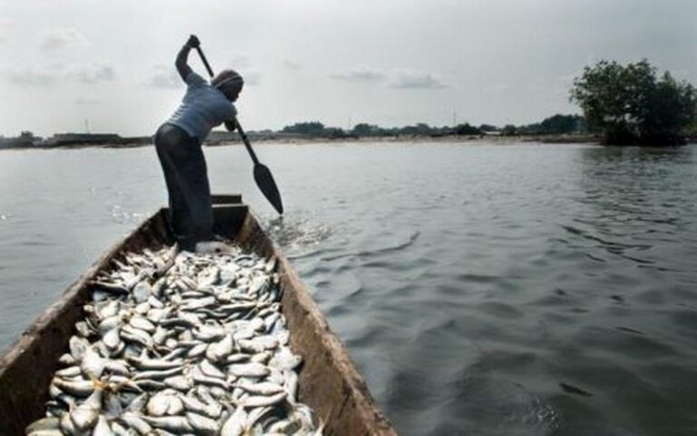 Le Kenya investit 19 millions $ dans un centre d’excellence halieutique pour renforcer la pêche sur le lac Victoria