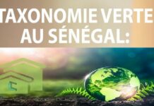 Le Sénégal adopte la taxonomie verte pour un financement durable : Une initiative clé pour la transition écologique et climatique