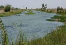 Le Sénégal met en avant la recherche scientifique au cœur des réserves de biosphère : Un atelier clé à Saint-Louis