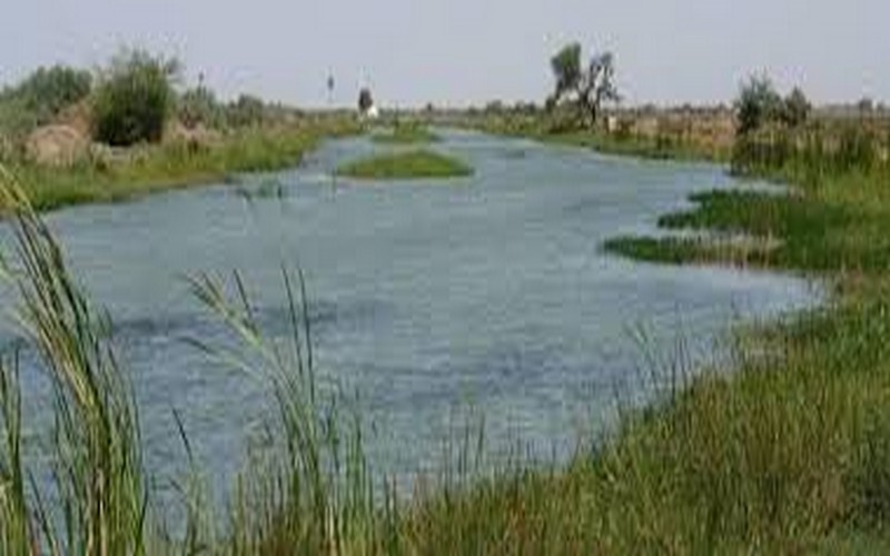 Le Sénégal met en avant la recherche scientifique au cœur des réserves de biosphère : Un atelier clé à Saint-Louis