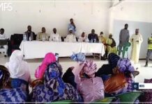 Les activités agrosylvopastorales : Un levier essentiel pour l’emploi au Sénégal