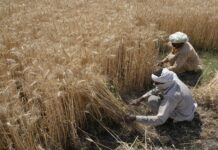 Les défis de la transition agricole dans les pays du Sud : Financement, solutions et enjeux climatiques