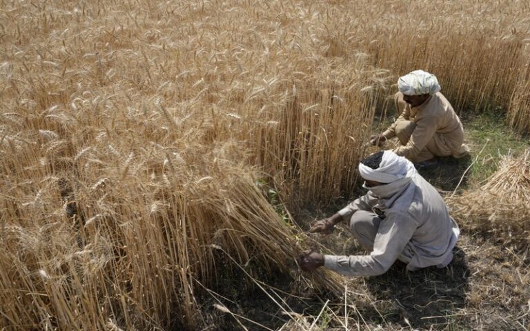 Les défis de la transition agricole dans les pays du Sud : Financement, solutions et enjeux climatiques