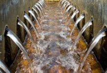 Les maraîchers de Thiès (Sénégal) transforment les eaux usées recyclées en atout agricole face au changement climatique