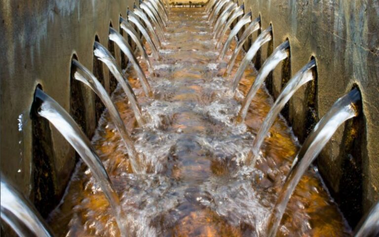Les maraîchers de Thiès (Sénégal) transforment les eaux usées recyclées en atout agricole face au changement climatique