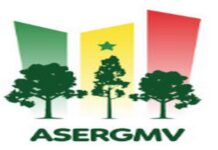 Lutte contre le changement climatique au Sénégal : L’ASERGMV reboise plus de 1 900 hectares dans le département de Bakel de 2021 à 2024