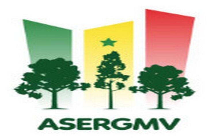 Lutte contre le changement climatique au Sénégal : L&rsquo;ASERGMV reboise plus de 1 900 hectares dans le département de Bakel de 2021 à 2024