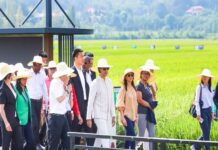 Madagascar lance le programme Riz Hybride en collaboration avec la Chine pour relancer l’autosuffisance rizicole