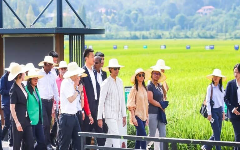 Madagascar lance le programme Riz Hybride en collaboration avec la Chine pour relancer l’autosuffisance rizicole
