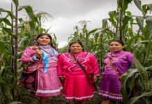 Peuples autochtones : Comment améliorer leur accès aux financements internationaux pour le développement durable et la lutte contre la malnutrition ?