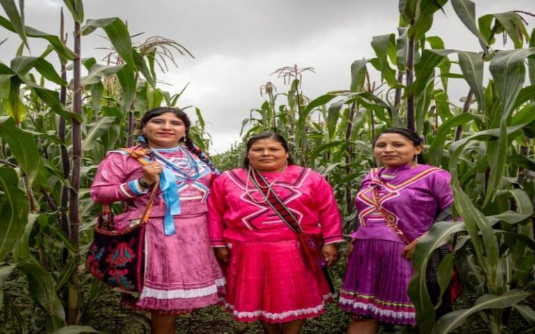Peuples autochtones : Comment améliorer leur accès aux financements internationaux pour le développement durable et la lutte contre la malnutrition ?