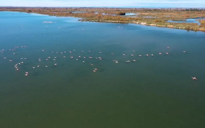 Pourquoi il est crucial de protéger les zones humides, véritables boucliers climatiques