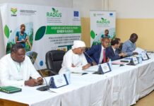 RADiUS : Une révolution agroécologique pour une agriculture durable en Afrique de l’Ouest