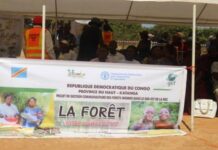 RDC : Protéger la forêt de Miombo autour des carrés miniers pour préserver les écosystèmes et soutenir les communautés locales