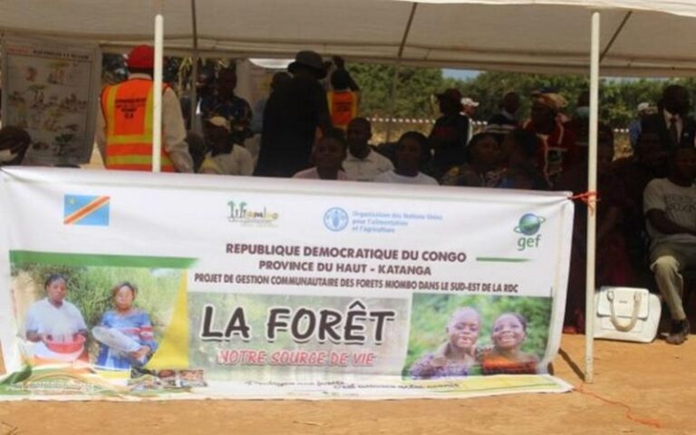 RDC : Protéger la forêt de Miombo autour des carrés miniers pour préserver les écosystèmes et soutenir les communautés locales